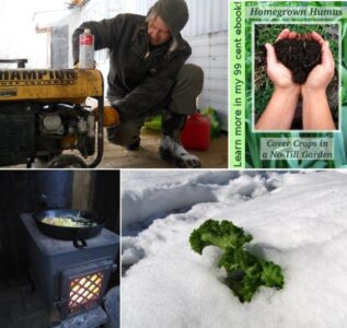 Off Grid Homesteading and Cover Crops in a No-Till Garden Image